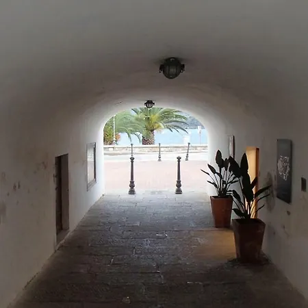 Apartment Casa 